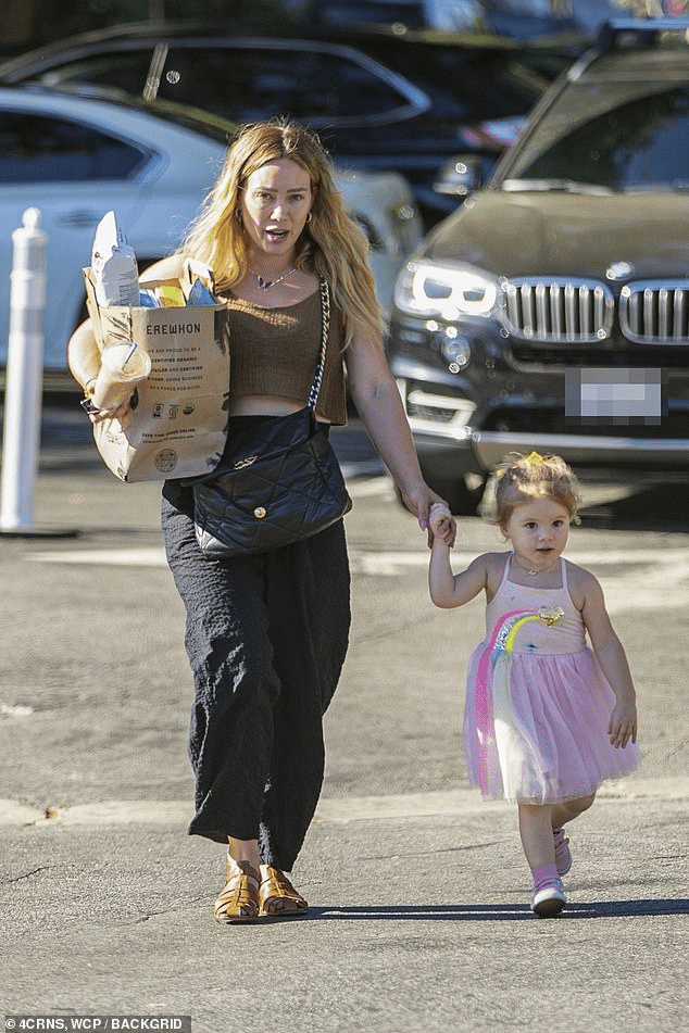 Hilary Duff Spotted Holding Hands with Daughter Mae After Grocery Shopping